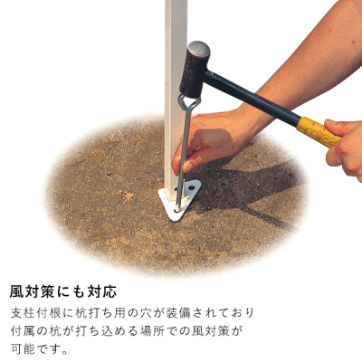 �e���g DX30  �u���[