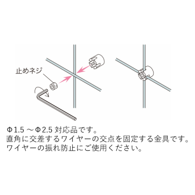 �A���J�� �N���X�|�C���g ���ԋ��� SCP-1