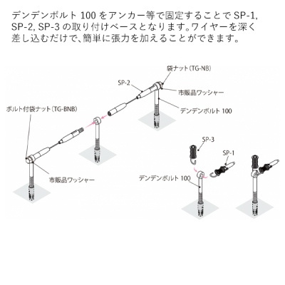�A���J�� �A�� ������ �f���f���{���g100 