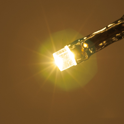 LED�J�[�e�����C�g? �V�����p���S�[���h