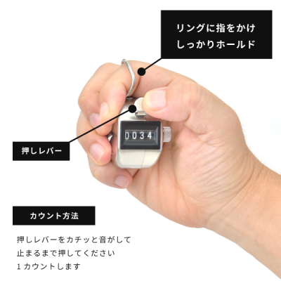 ����� �莝���� 4�P�^ No.100 1�A