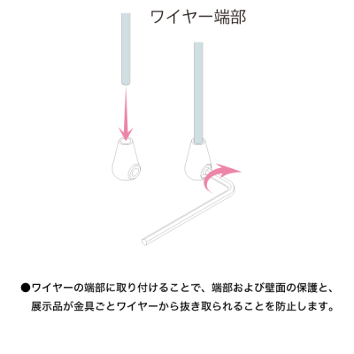 ���C���[�G���h CE-10 �X�ܗp�i �W���p�i