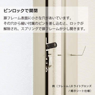 �ǖʌf���� 613 LB B2�i���C�g�u�����Y/�f���V�[�g�d�l:�A�C�{���[�j