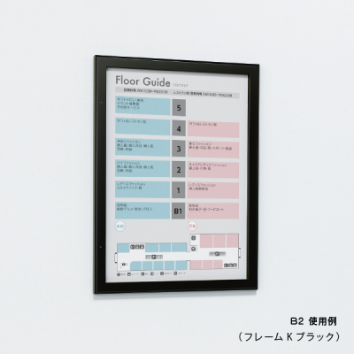 �ǖʌf���� 613 LB B2�i���C�g�u�����Y/�f���V�[�g�d�l:�A�C�{���[�j