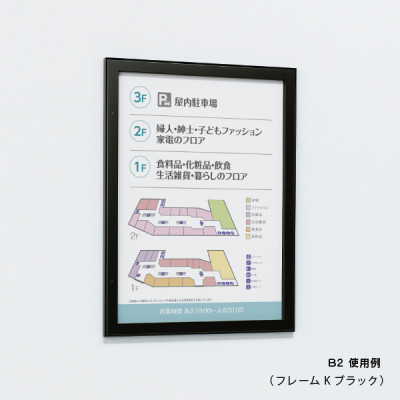 �ǖʌf���� 613 LB B2�i���C�g�u�����Y/�f���V�[�g�d�l:�A�C�{���[�j