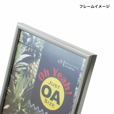 IF-44    OA�T�C�Y�t���[�� B5 �V���o�[