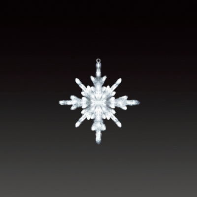 LED�N���X�^���O���[ �X�m�[�M�����N�V�[ ��