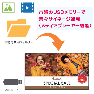 �V���[�v �T�C�l�[�W�f�B�X�v���C55V�^ PN-HW552