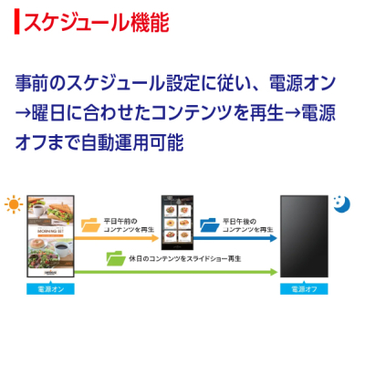�V���[�v �T�C�l�[�W�f�B�X�v���C55V�^ PN-HW552