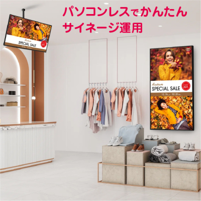 �V���[�v �T�C�l�[�W�f�B�X�v���C55V�^ PN-HW552