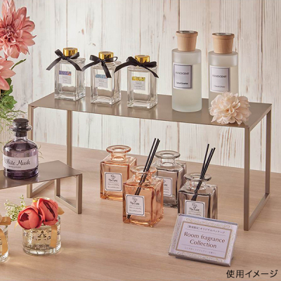 �X�`�[���� �R�̎��f�B�X�v���C W450