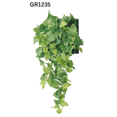 GM1846 �A�ڃO���[�� 6�A