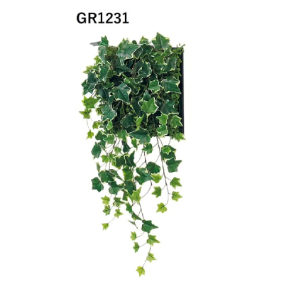 GM1846 �A�ڃO���[�� 6�A