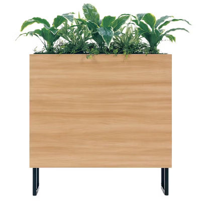 GR2010 �p�[�e�[�V���� BOX�v�����^�[