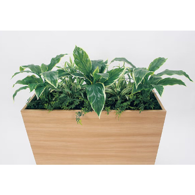 GR2010 �p�[�e�[�V���� BOX�v�����^�[