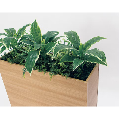 GR2010 �p�[�e�[�V���� BOX�v�����^�[