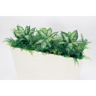 GR2011 �p�[�e�[�V���� BOX�v�����^�[