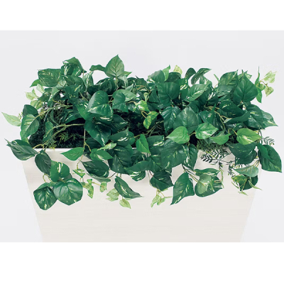 GR2012 �p�[�e�[�V���� BOX�v�����^�[