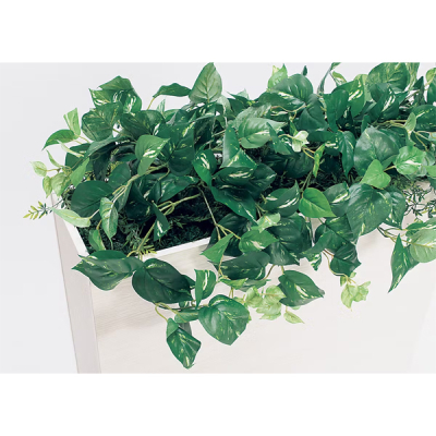 GR2012 �p�[�e�[�V���� BOX�v�����^�[