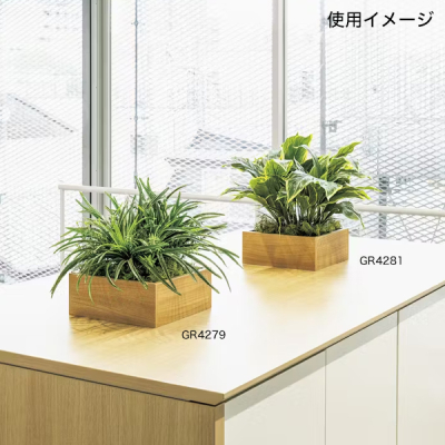 GR4281 ���|�b�g