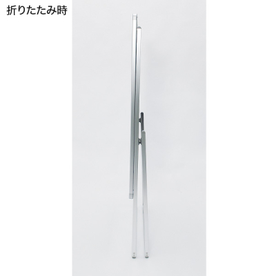 �|�X�^�[�X�^���h 2895 B2 �V���o�[ ���� ���^