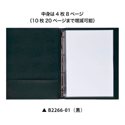 �C���t�H���[�V�����[101-N ��
