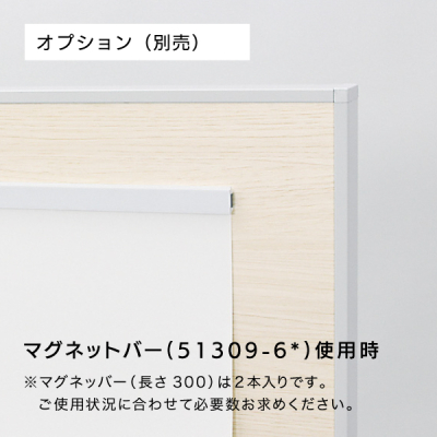 �f���X�^���h2618 310�~880�z���C�g