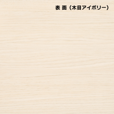 �f���X�^���h2618 310�~880�z���C�g