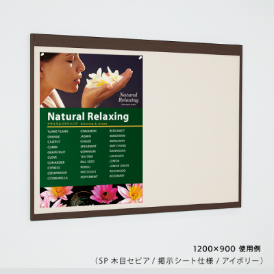 �f���{�[�h 6702 SP B0���R�i�ؖڃZ�s�A/�f���V�[�g�d�l�F�A�C�{���[�j