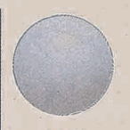 �y�݌Ɍ���z�f�R�o���[�� (10����) 13cm �� �E�G�f�B���O �p�[�e�B ������ �o���[���A�[�`