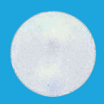 �f�R�o���[���p�[��(10��)38cm ���p�[�� �E�G�f�B���O �p�[�e�B ������ �o���[���A�[�`