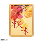 ���f�B�A�O���b�v ���� �O�ʊJ�t���[����44mm �p�ی^ MG-44R A1�S�[���h W645�~H892mm