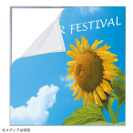 �e�b�N�X�t���[��20 (2000�~2000)�Z�b�g