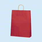 25CB MS-1 ���N�R�Q�`��C 200��