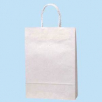 �X���[�XS-100 �V�����W 300��