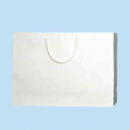 PB-Y2 �V�� 50��