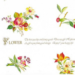 �M�t�g�[�� �V�b�N�X�t�����[ 500��