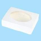 NEW�^�b�N�C��BOX L 100��
