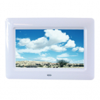 �f�W�^��POP  SP-070EL
