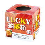 ���蒊�I���L�b�g