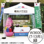 �~�X�^�[�N�C�b�N �J���[����� W3600��T-13