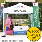 �~�X�^�[�N�C�b�N �J���[����� W3600��T-13
