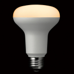 R80���t�`LED�d�� �����Ή��d���F �X�ܗp�i ���o�E�f�B�X�v���C�Y�� �Ɩ����