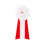 38-322 �L�� ���{���o���唒8�P����