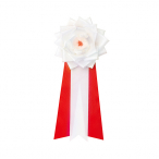 38-332 �L�� ���{���o���� �� ����