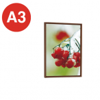 �|�X�^�[�p�l�� 345 A3�ؖڃu���E��