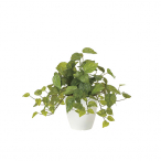NEW�t���b�V���|�g�X(���t)
