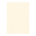 �y�݌Ɍ���z���� �m-21(B-4)
