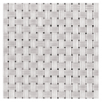 �R�[�X�^�[ #380 (10����) �V���o�[