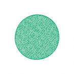 �y�݌Ɍ���z���b�V���R�[�X�^�[ #220 [2]�G�������h�O���[�� 10������